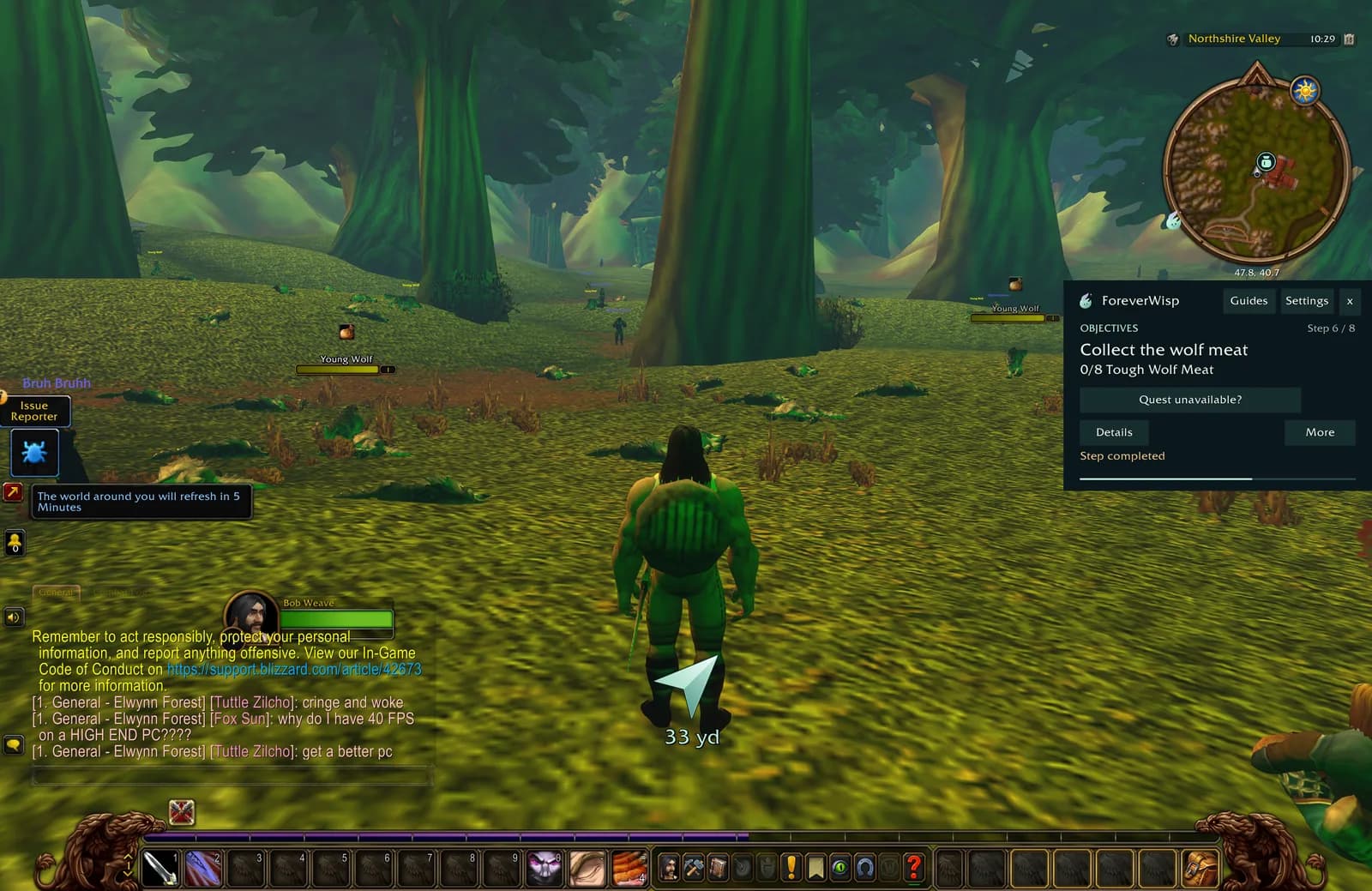Northshire beta gameplay with the five-minute world refresh reminder above chat on the left and the Wisp guide panel on the right.